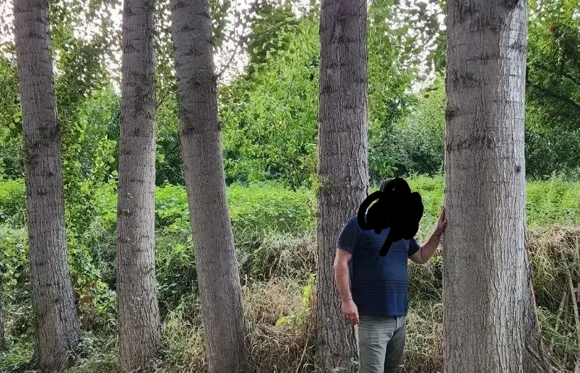 زمین کشاورزی جهت کاشت صنوبر نیازمندیم