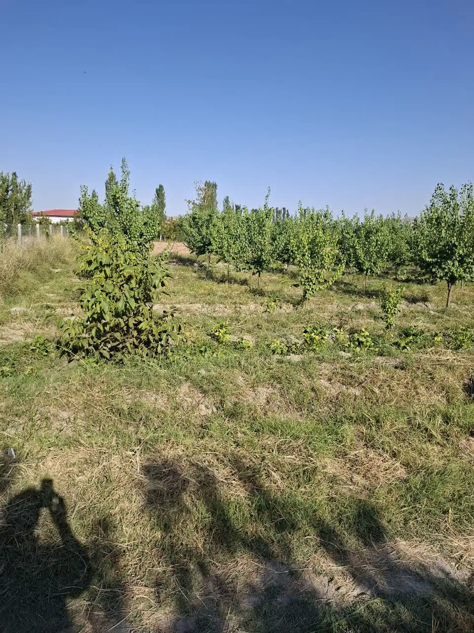 فروش قطعه باغ ویلایی