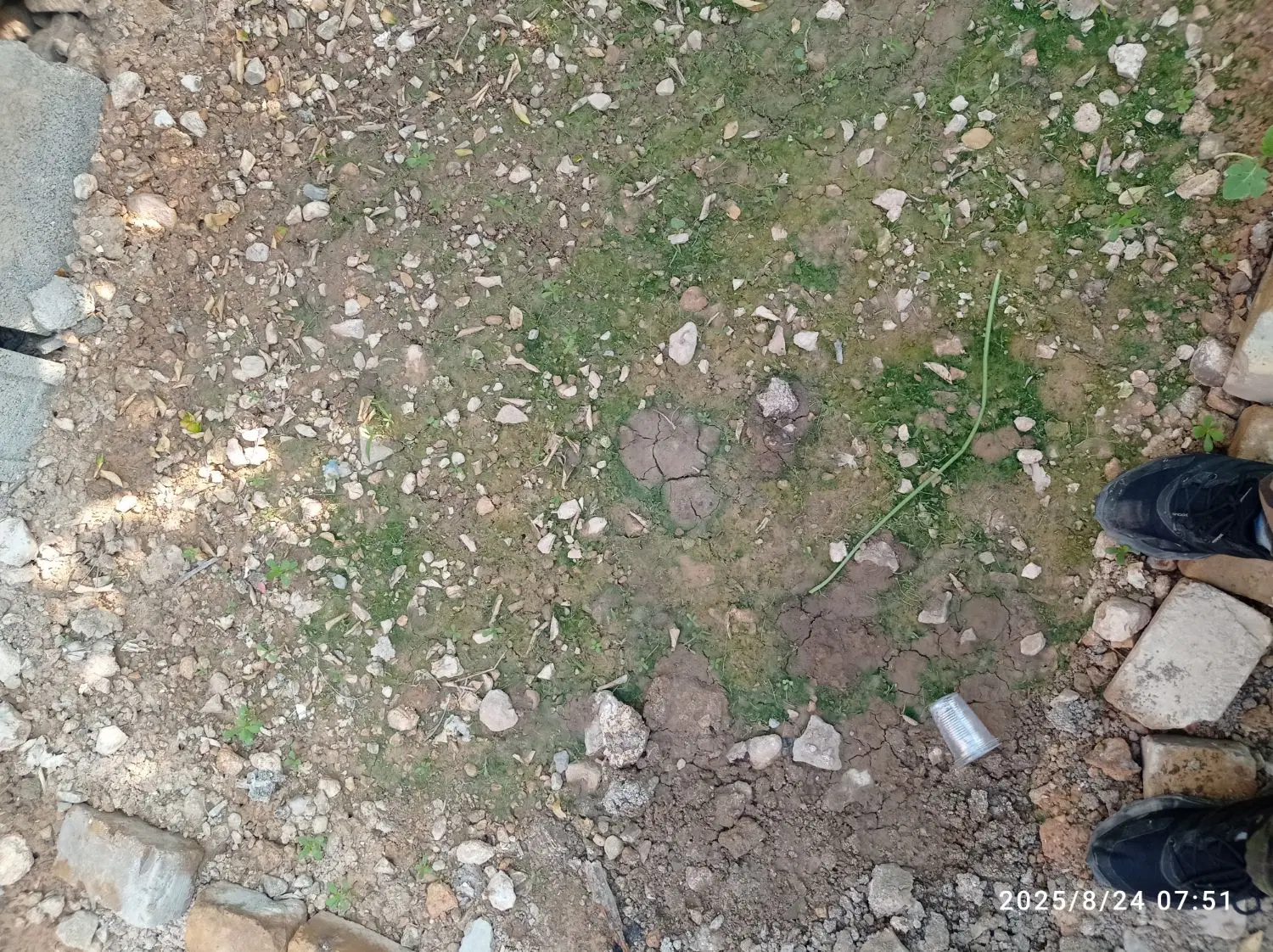 زمین خلف اباد علوم پزشکی بوسان ۱