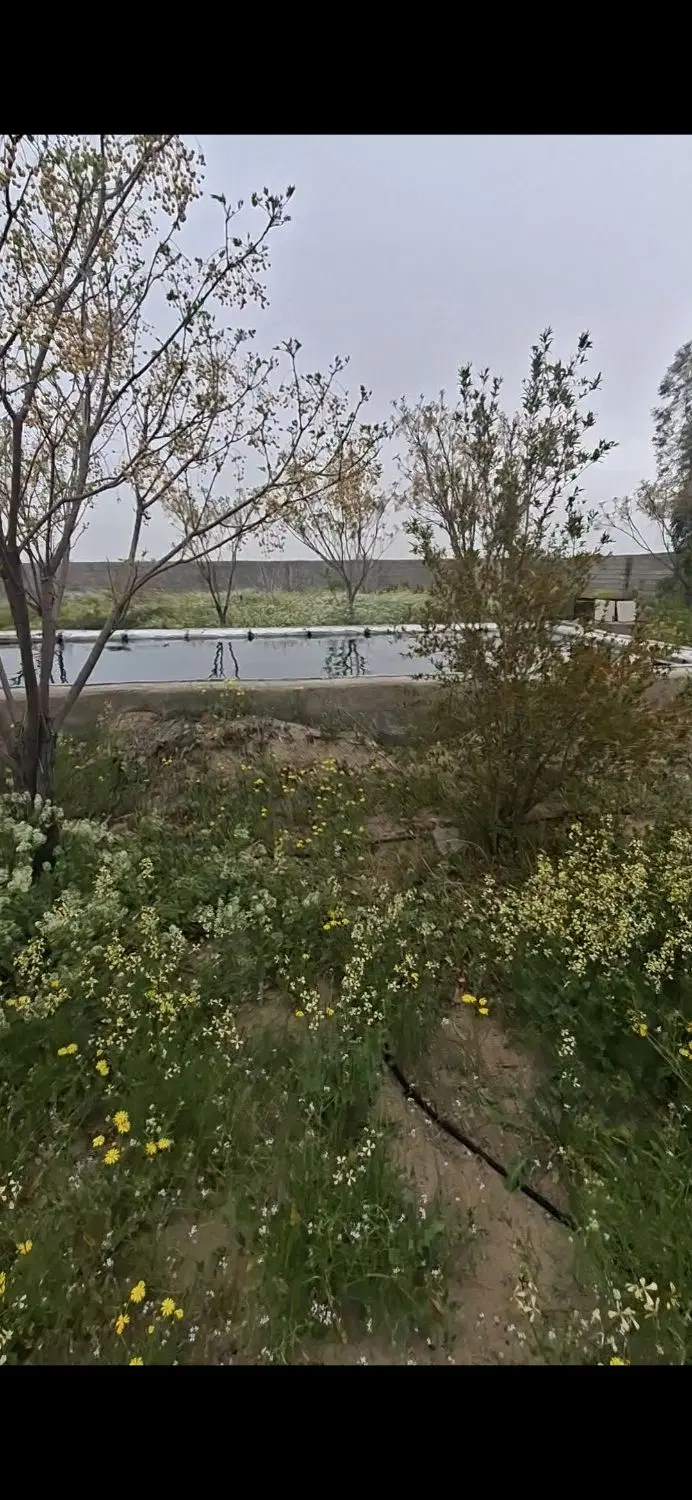 خانه باغ بعد از قطبیه (احمد آباد کهن شهر)