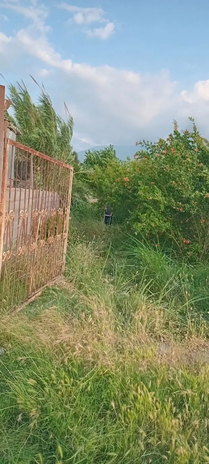 شهرستان علی ابادکتول روستای ساورکلاته