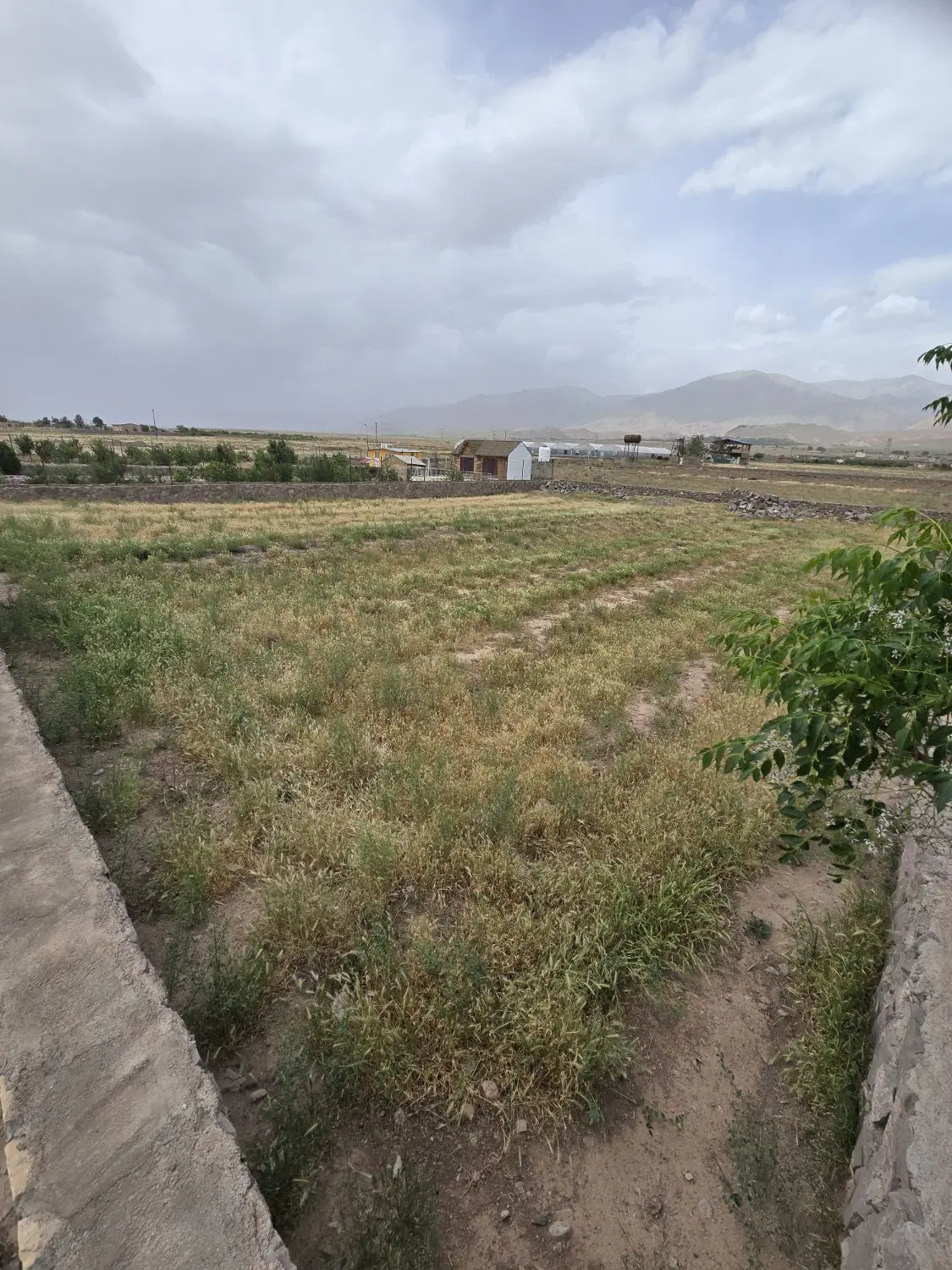 زمین به متراژ حدودا ۱۳۰۰ متر جاده دشت