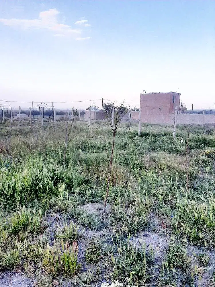 فروش باغ