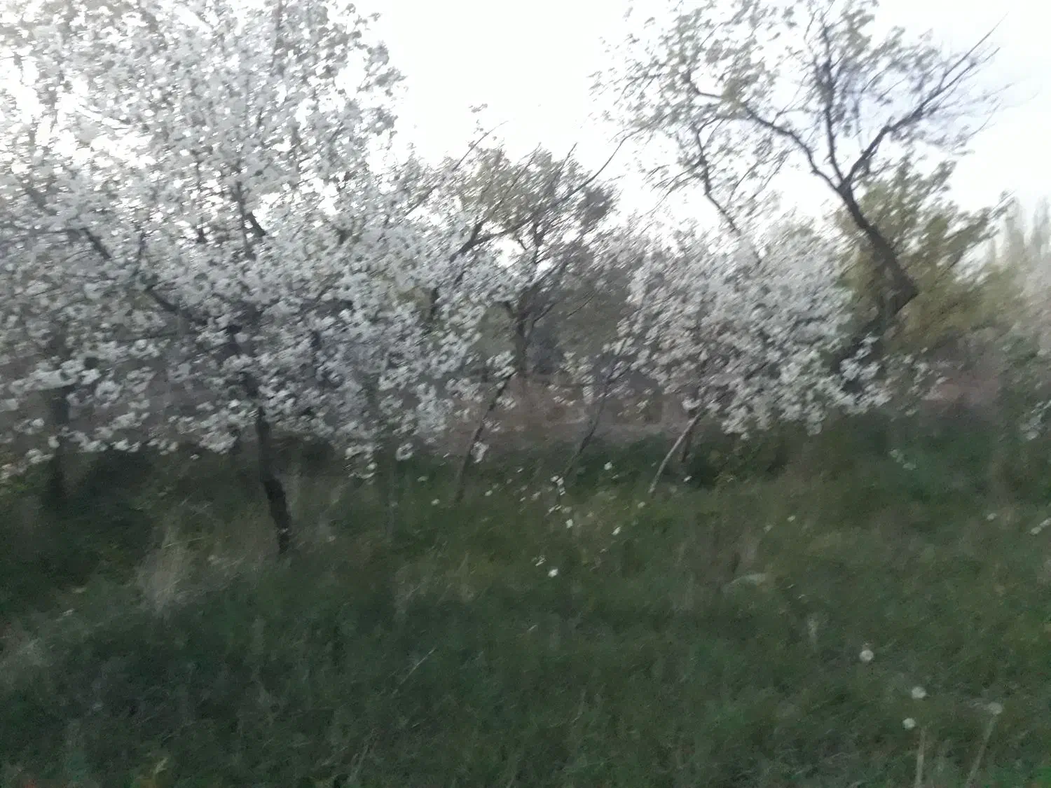 فروش قطعه زمینی درشهرکشکسرای مرند