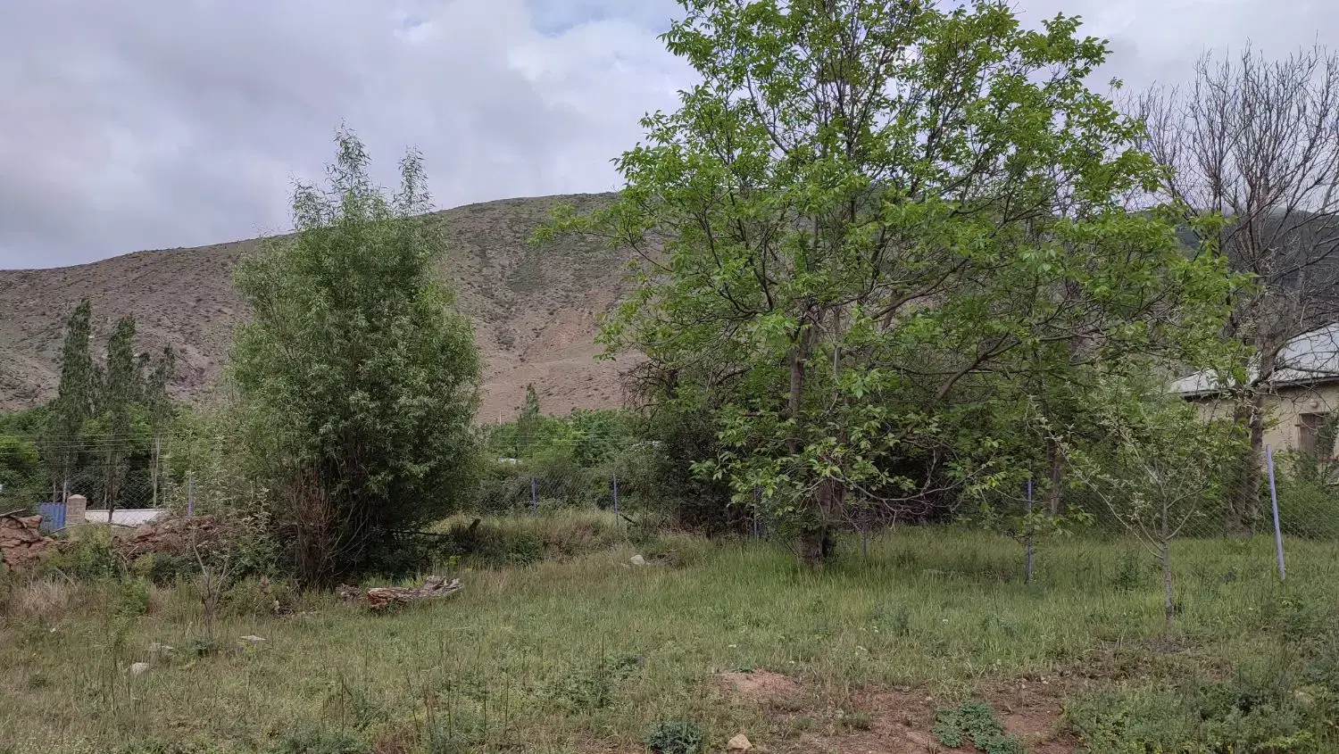 زمین ۳۰۰ متری (داخل بافت) خوش قواره