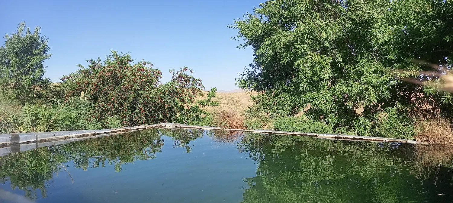 دو قطعه باغ در روستای ملحمدره