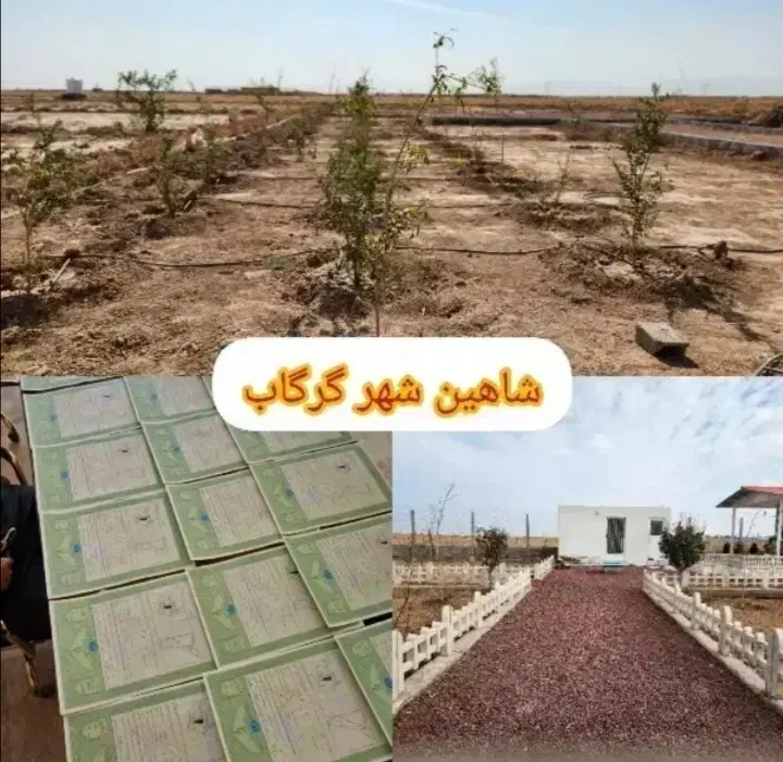 فروش زمین باغی جهت سرمایه گذاری وتفریح با۱۰۰میلیون