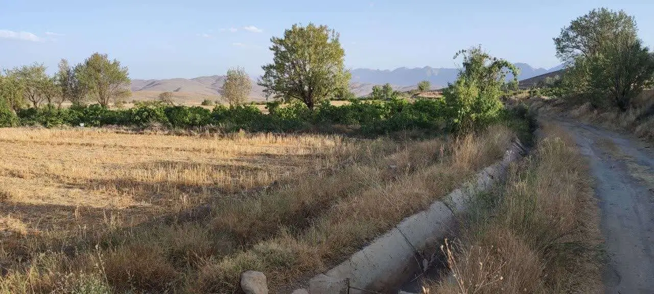 زمین کشاورزی