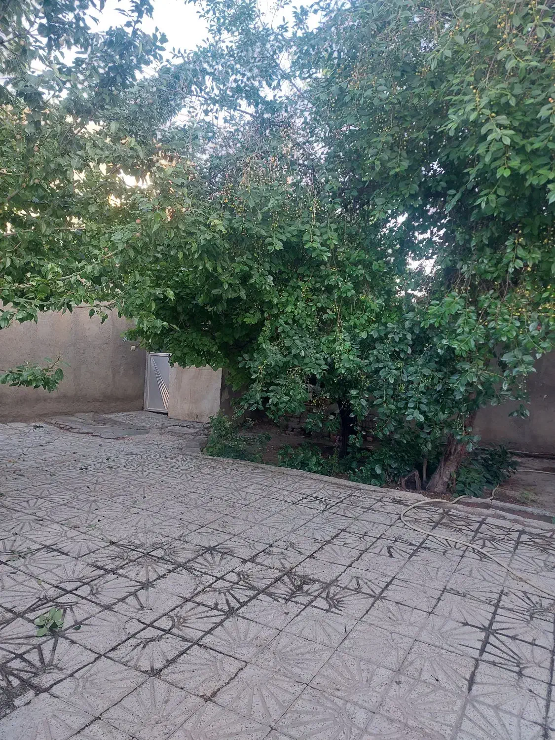 اجاره مسکونی