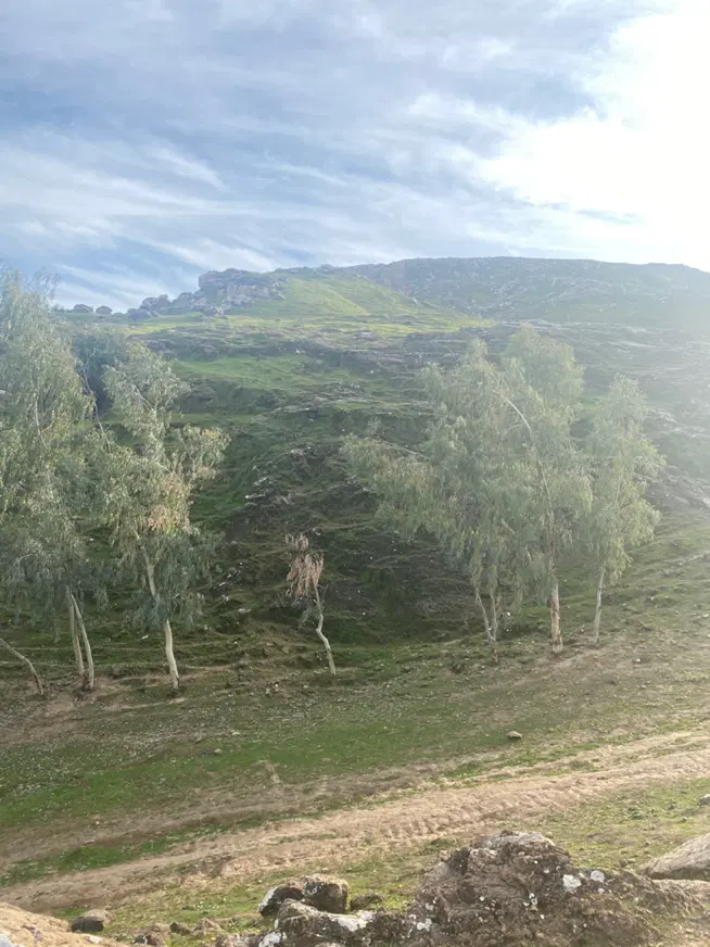 زمین ۴۵۰ متری در سالمندان