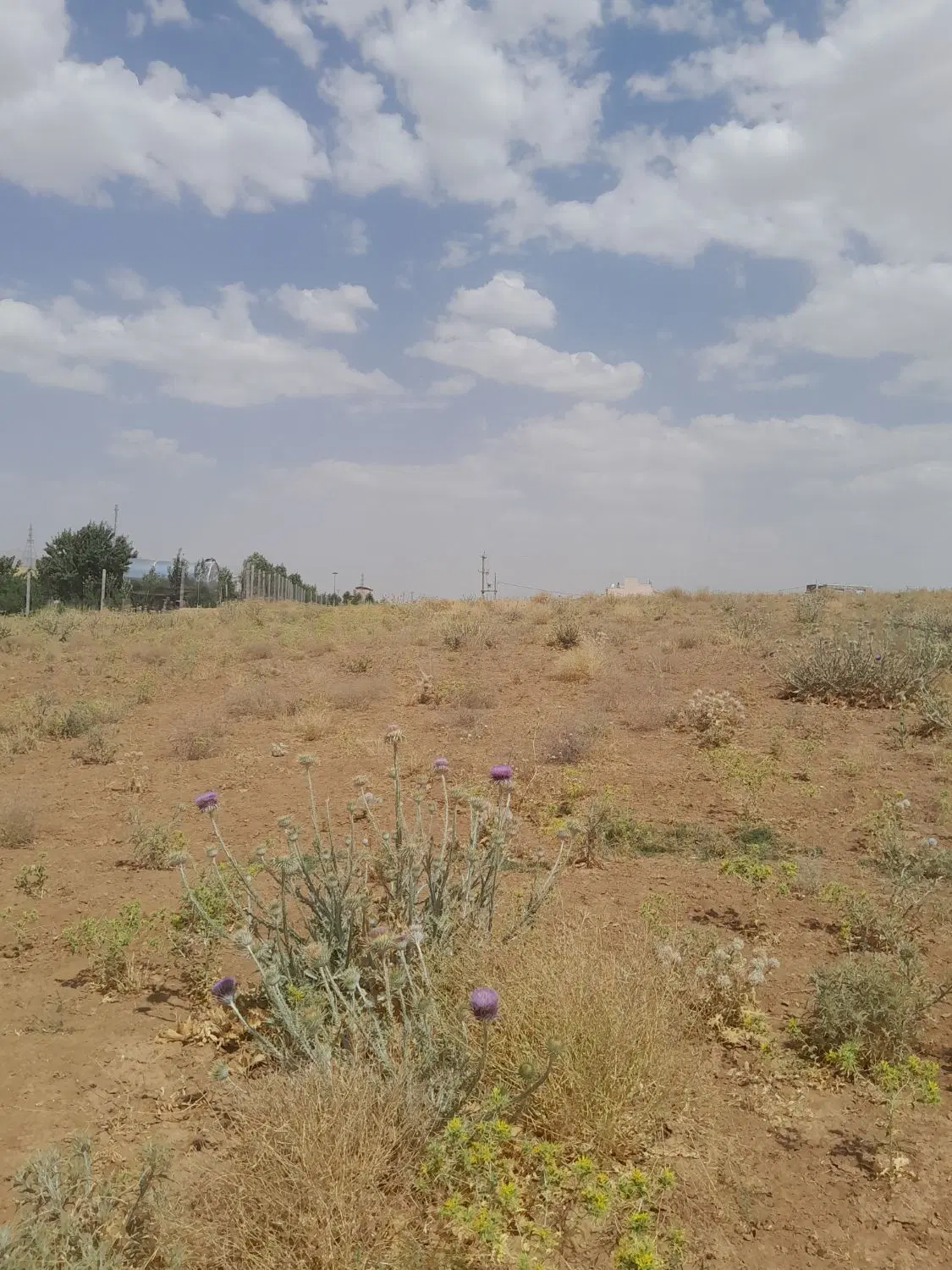 زمین جهت احداث باغ وویلا