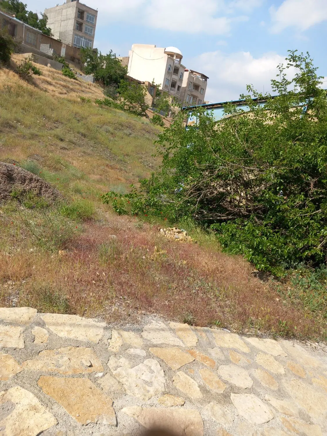 زمین فروشی در ابرده