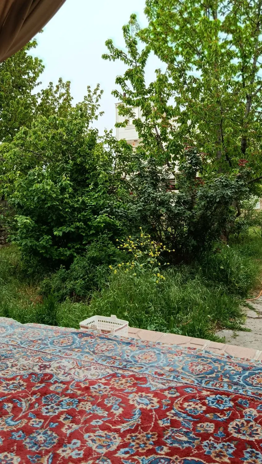 زمین تجاری و مسکونی