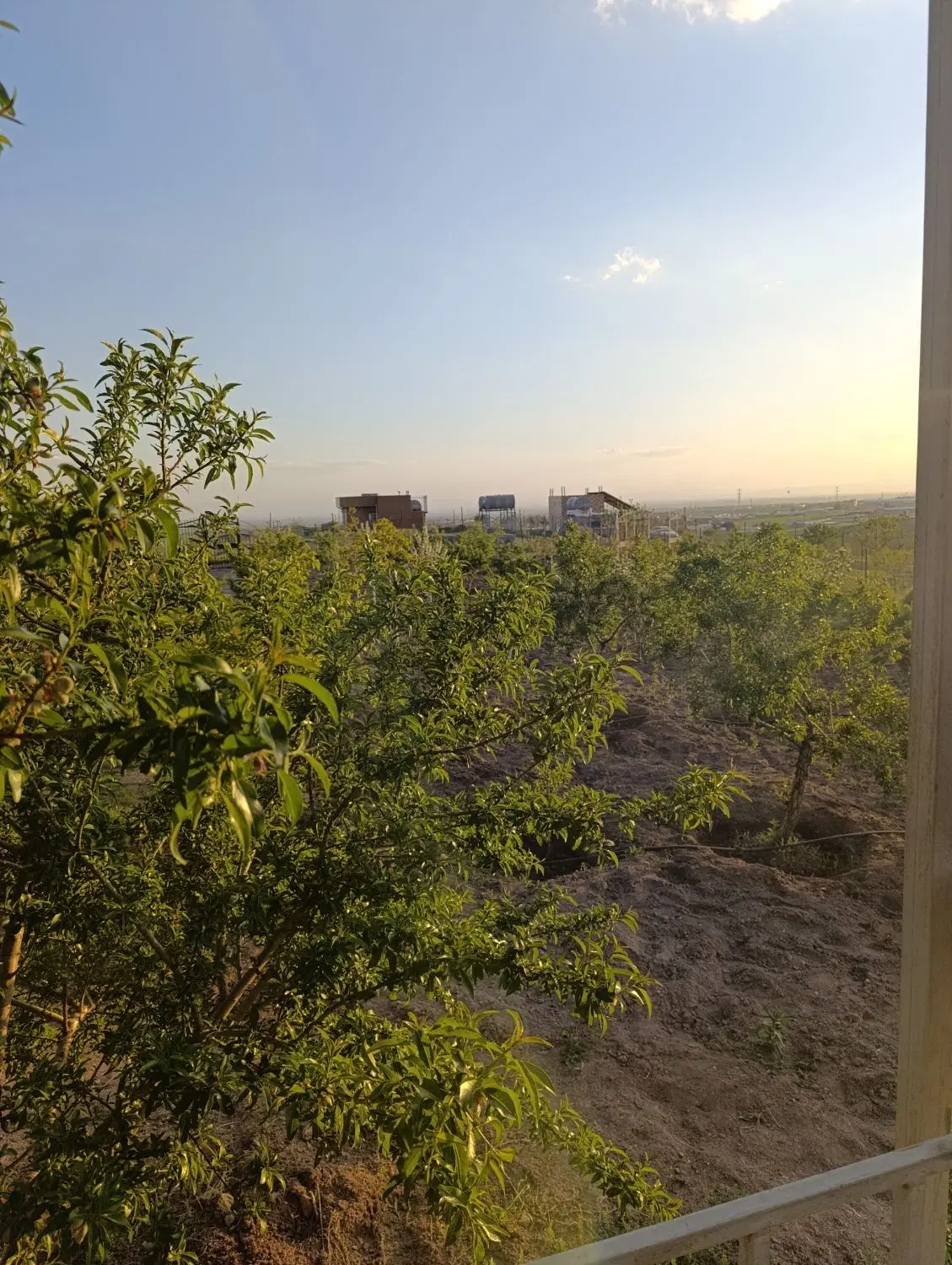 باغ ویلا