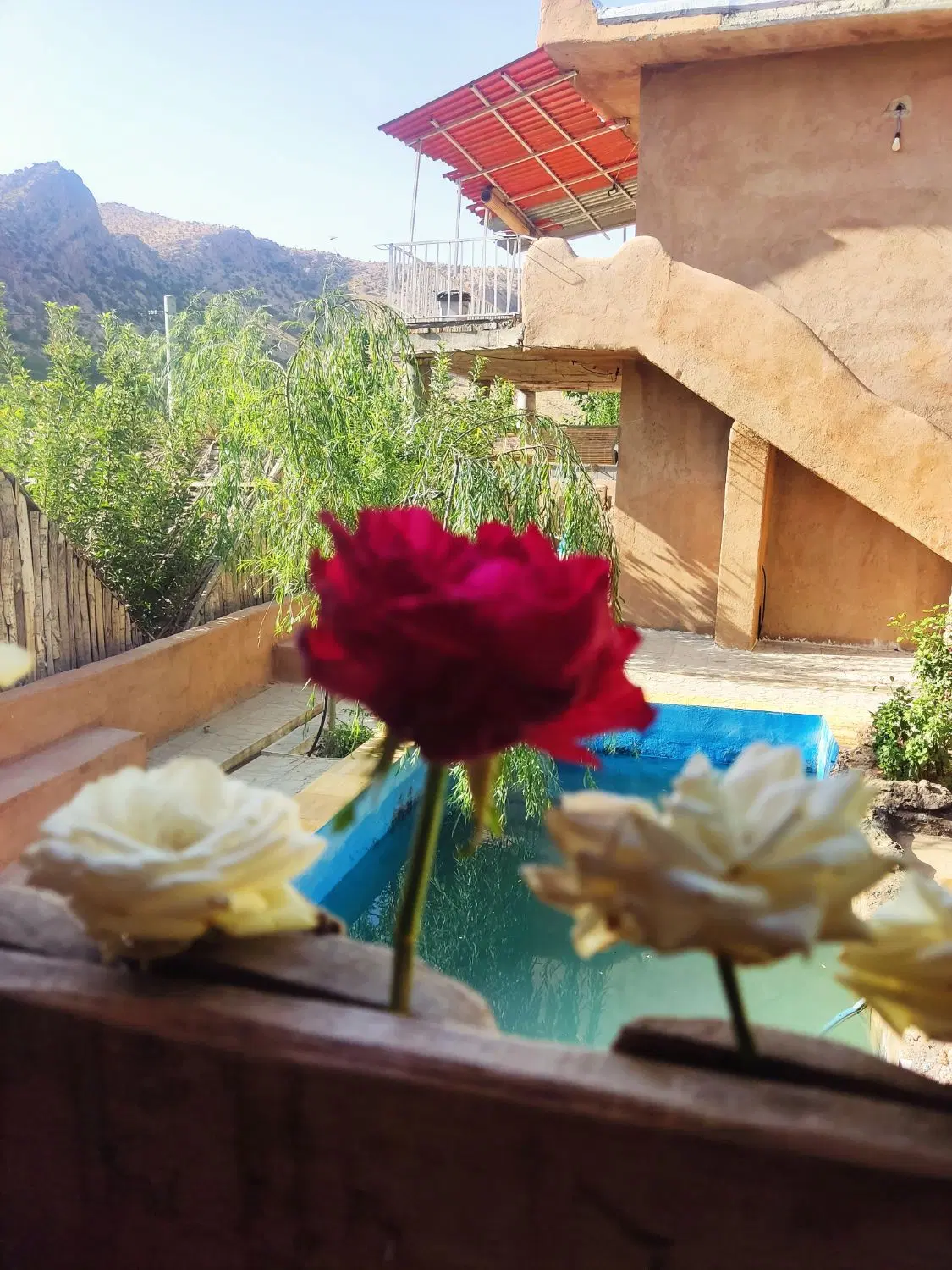 خرید و فروش ملک آپارتمان .ویلایی باغ شهری