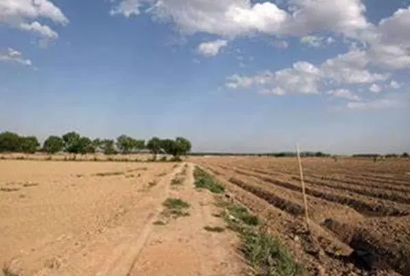 زمین باغچه ایی ابعاد مناسب