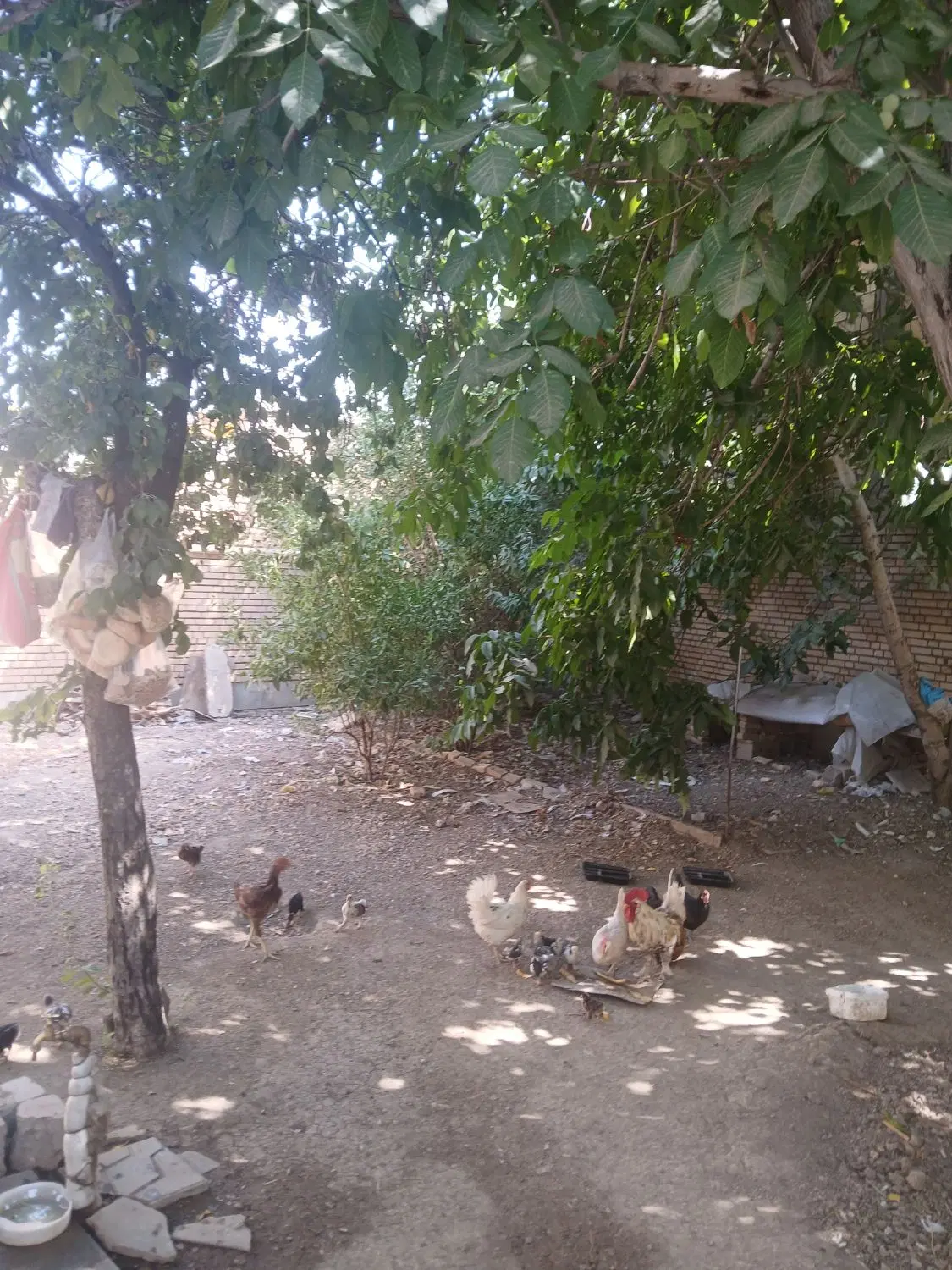 فروش خانه ویلایی