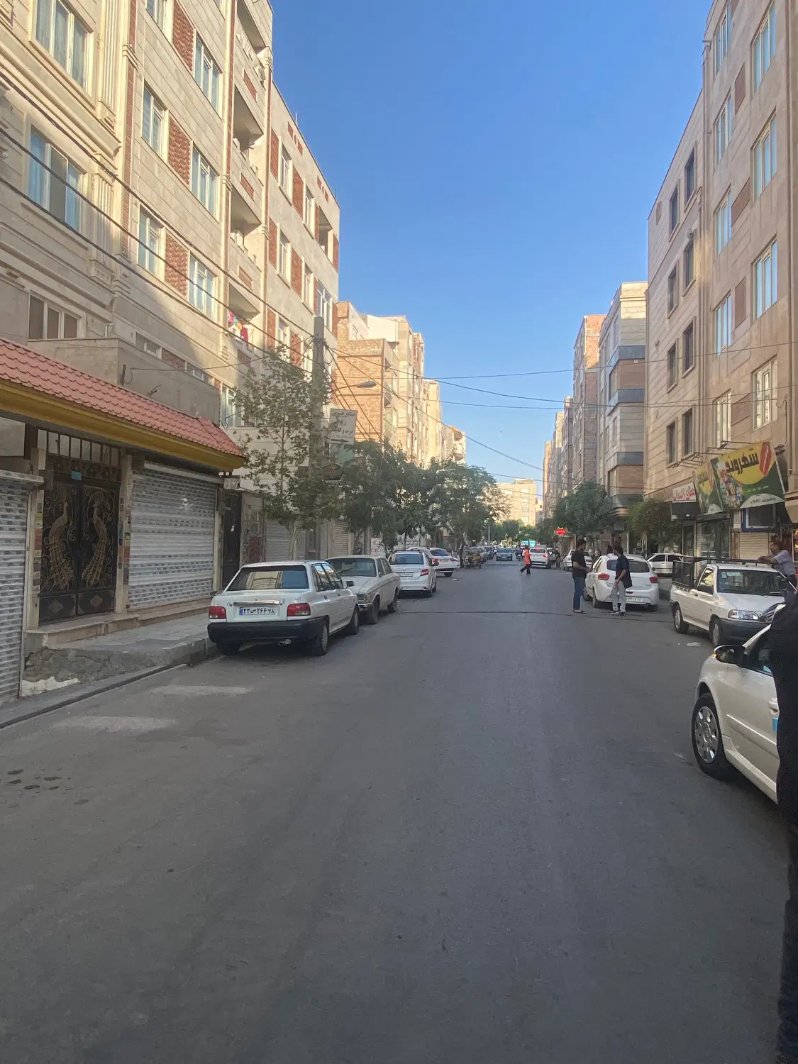 ۱۷متر_مغازه تجاری_ارکیده ۸