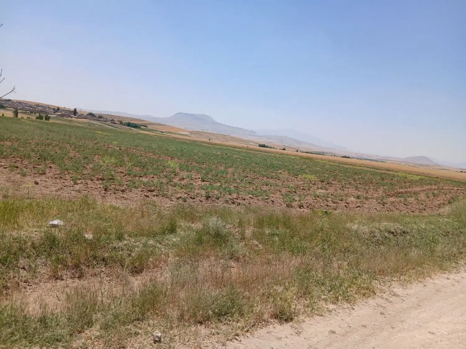 زمین کشاورزی آبی