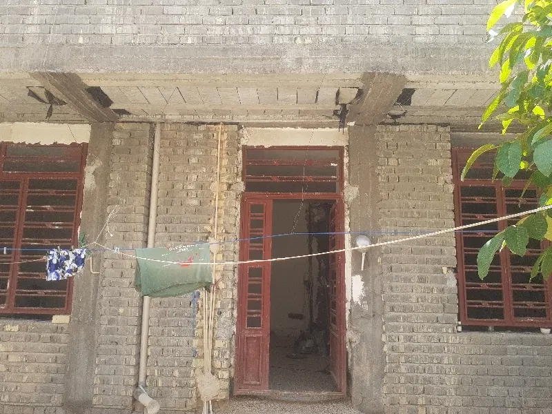گل یخ شرقی