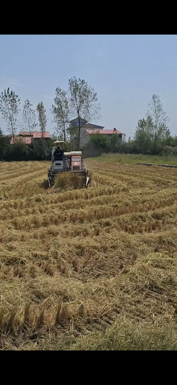 زمین کشاورزی