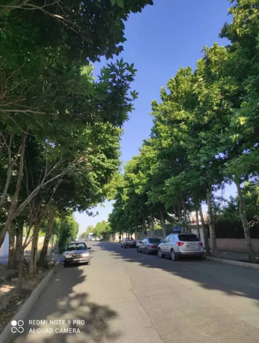 ویلایی شهرک بنفشه