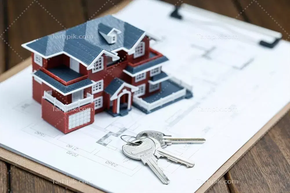 دونه خونه تجاری خیابان اصلی