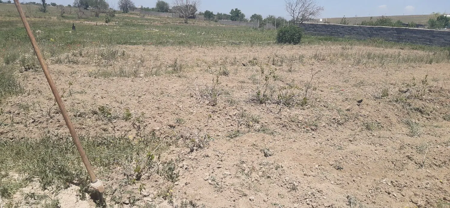 زمین کشاورزی واقع در روستایی تفریجان
