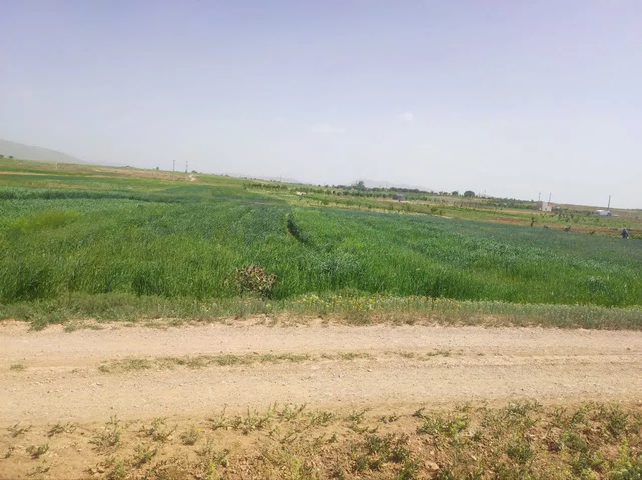 فروش زمین