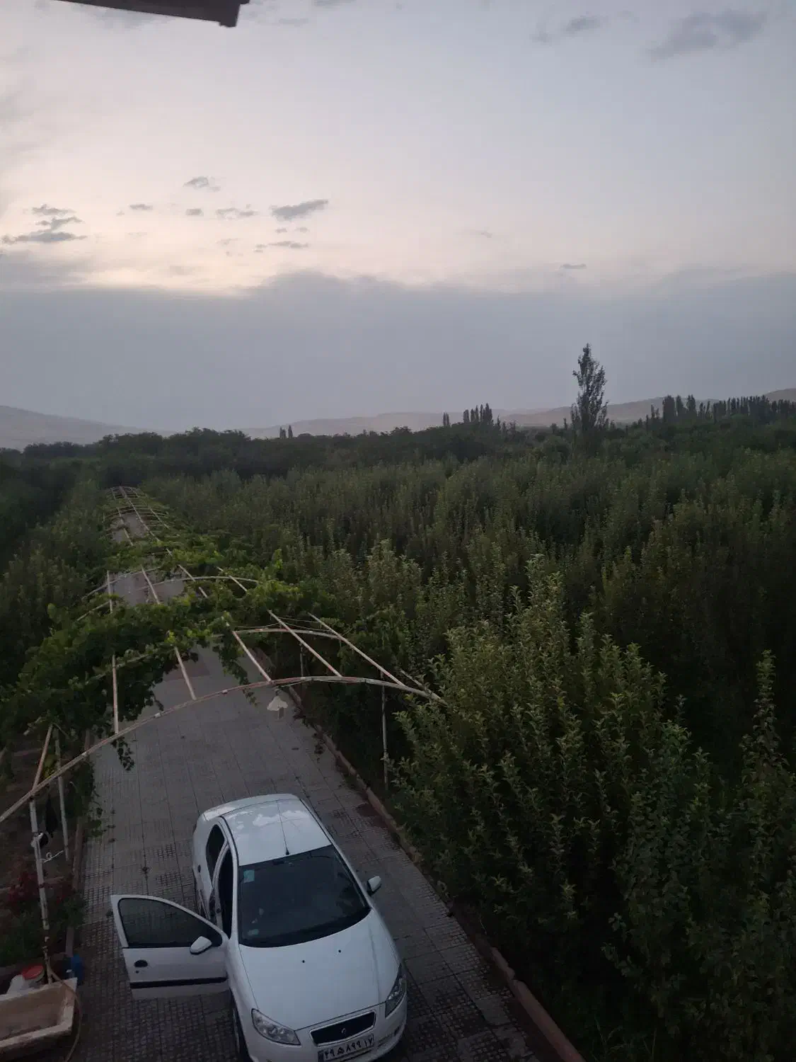 باغ سیب ویلایی درجه یک