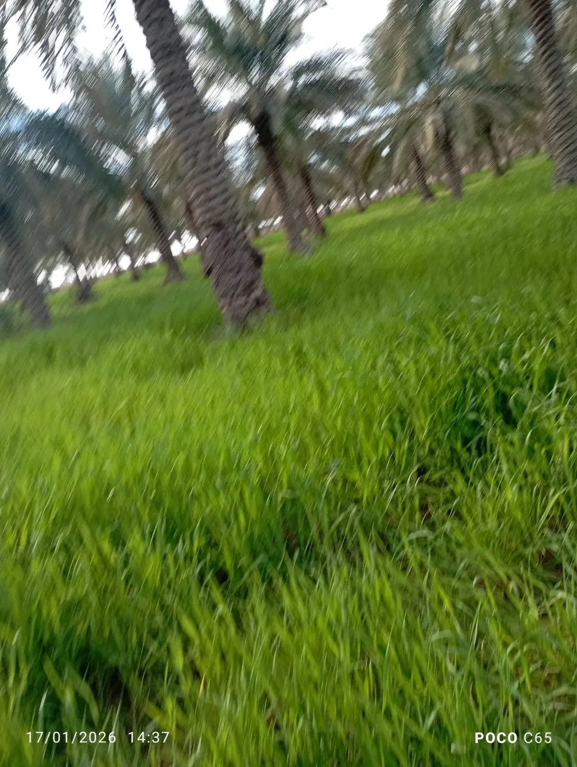 فروش زمین