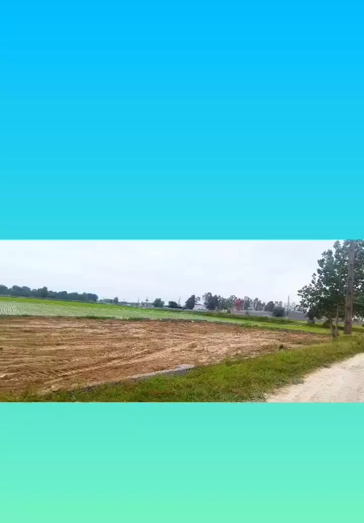 فروش زمین ۷۵۰متری در مازندران محمودآباد