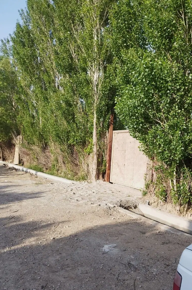باغ جهت سرمایه گذاری