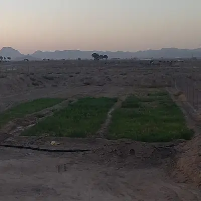 زمین کشاورزی تقاب معصوم آباد
