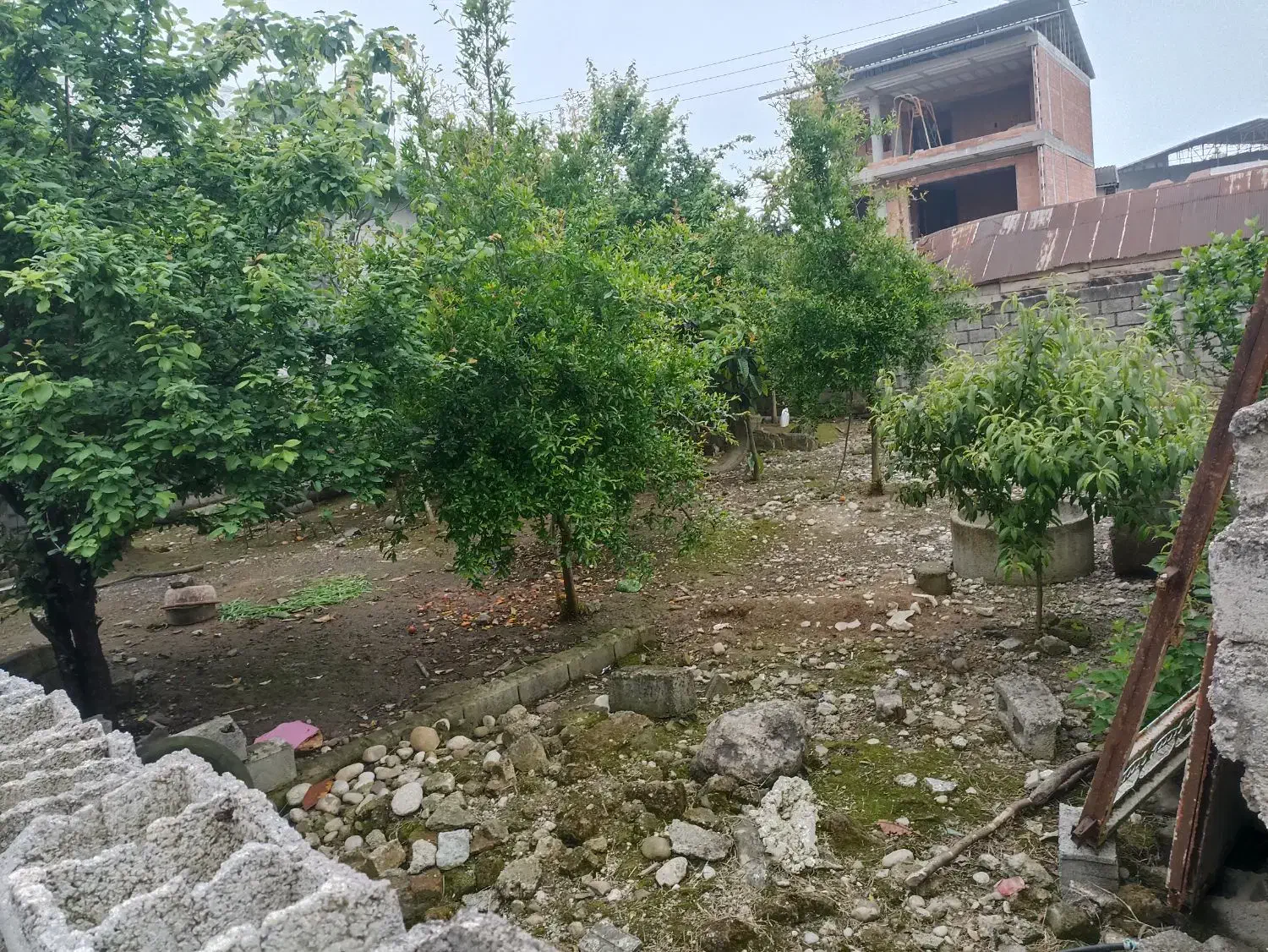 زمین تجاری مسکونی در چایباغ