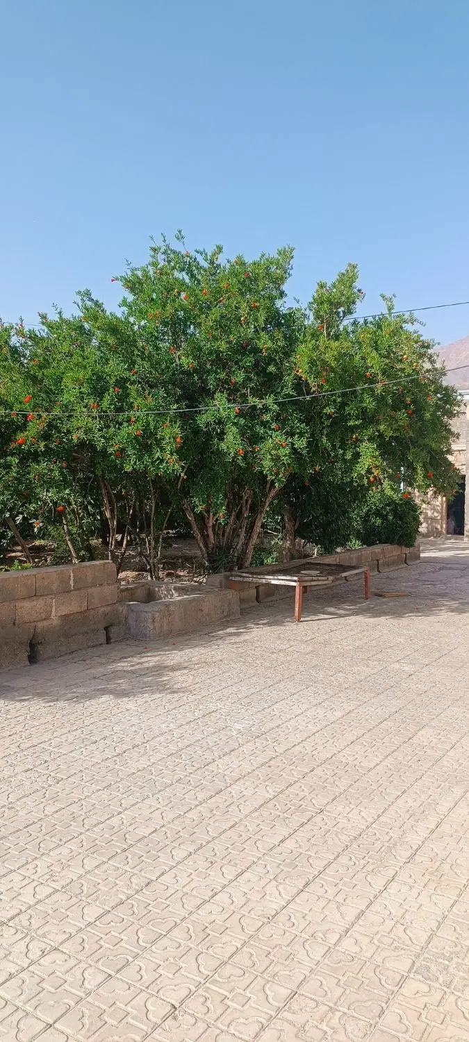 دوعدد اتاق اجاره ای در گلباف