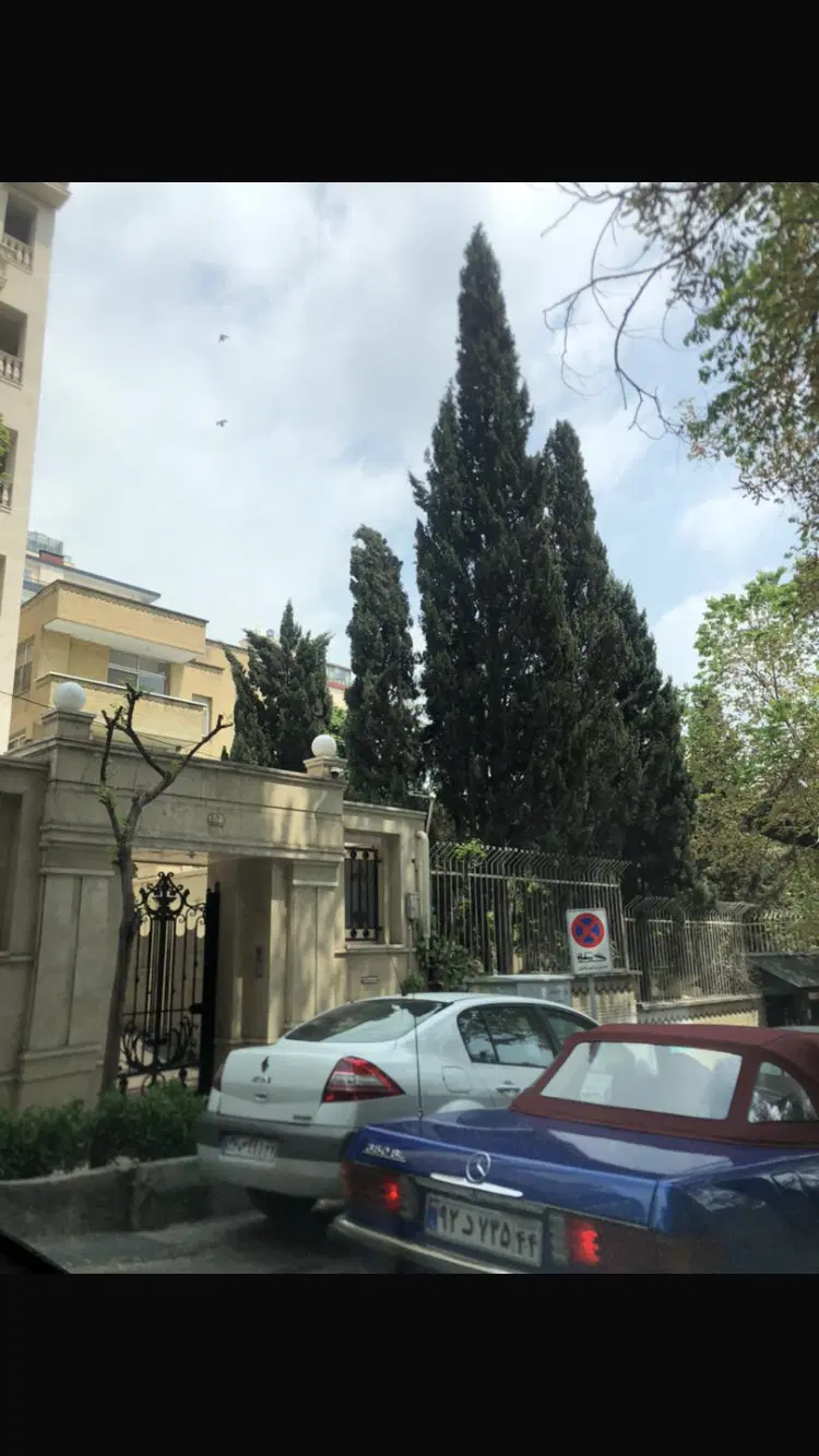 کلنگی ۶۵۰ متر بر ۱۴ صرافای شمالی* بدون مشابه*