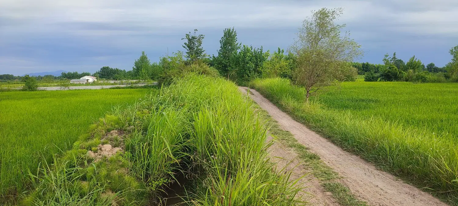زمین کشاورزی بره جاده متری ۳۴۰