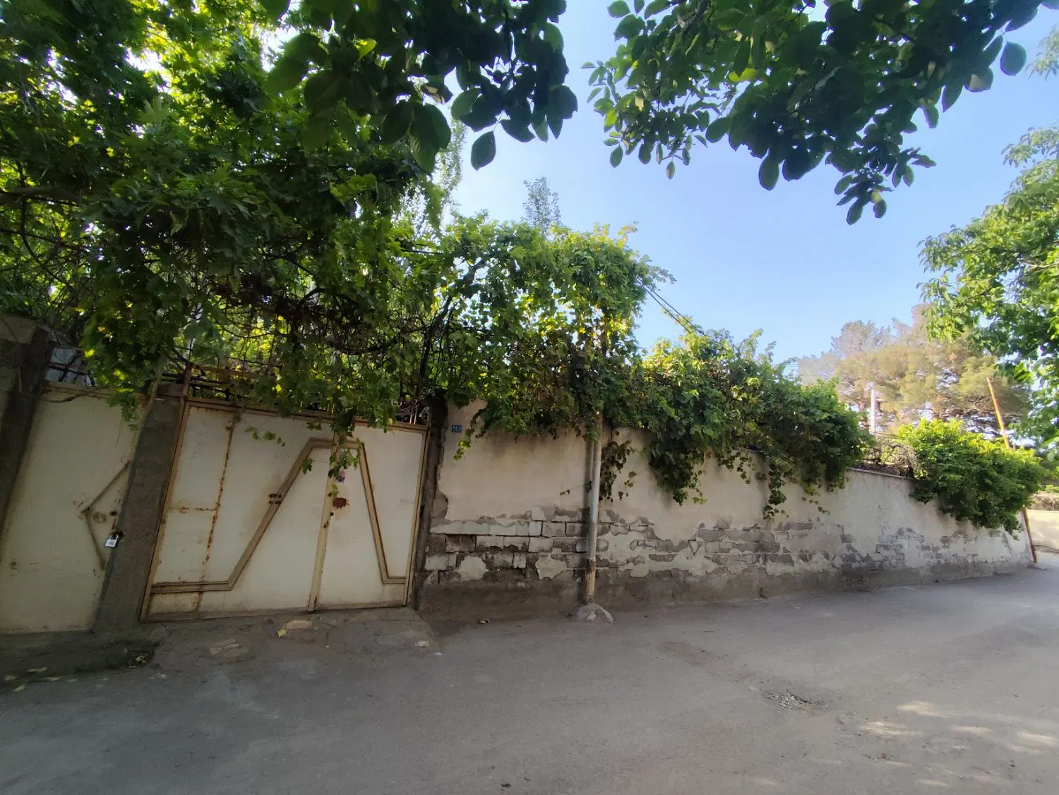 300 متر_شمالی_علویه_چهار دانگ قابل مشارکت