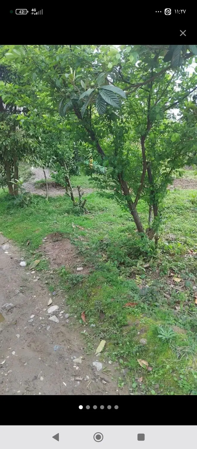 زمین مسکونی ۵۳۰ متر