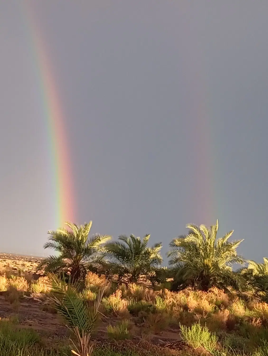 باغ حاجی آباد