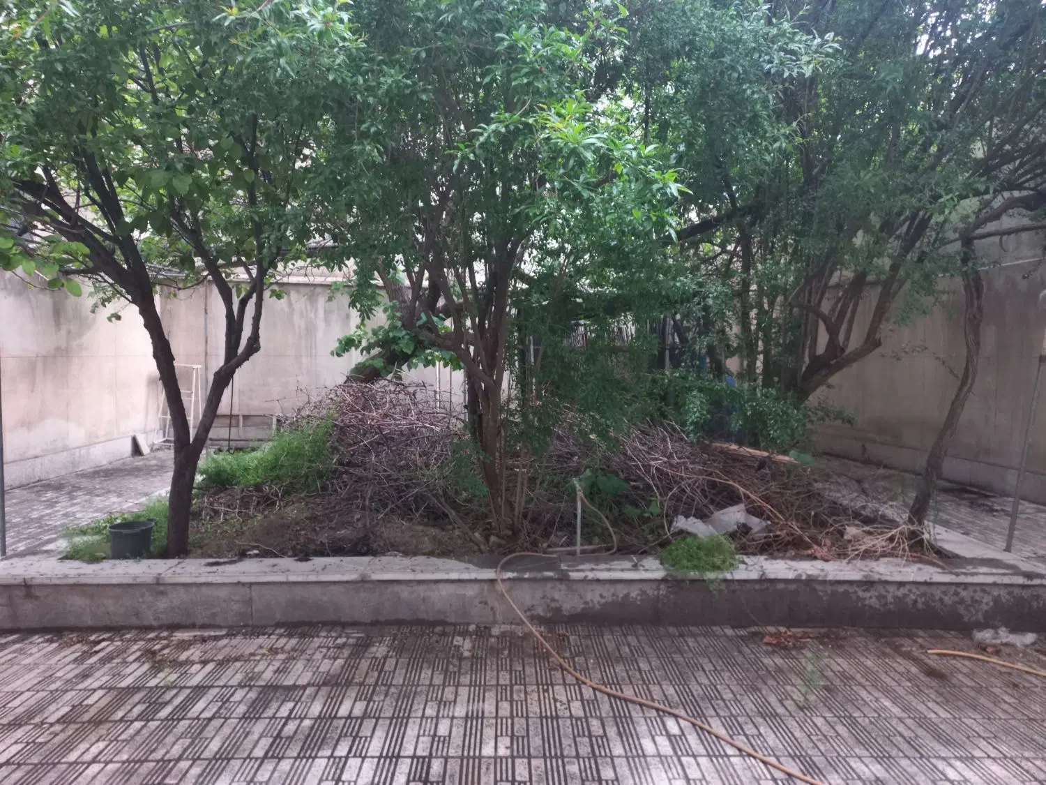 خانه اجاره ای نادری