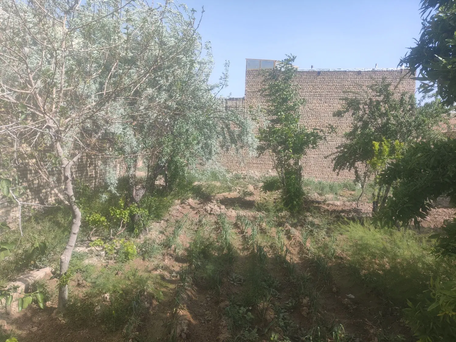 فروش خانه ویلا