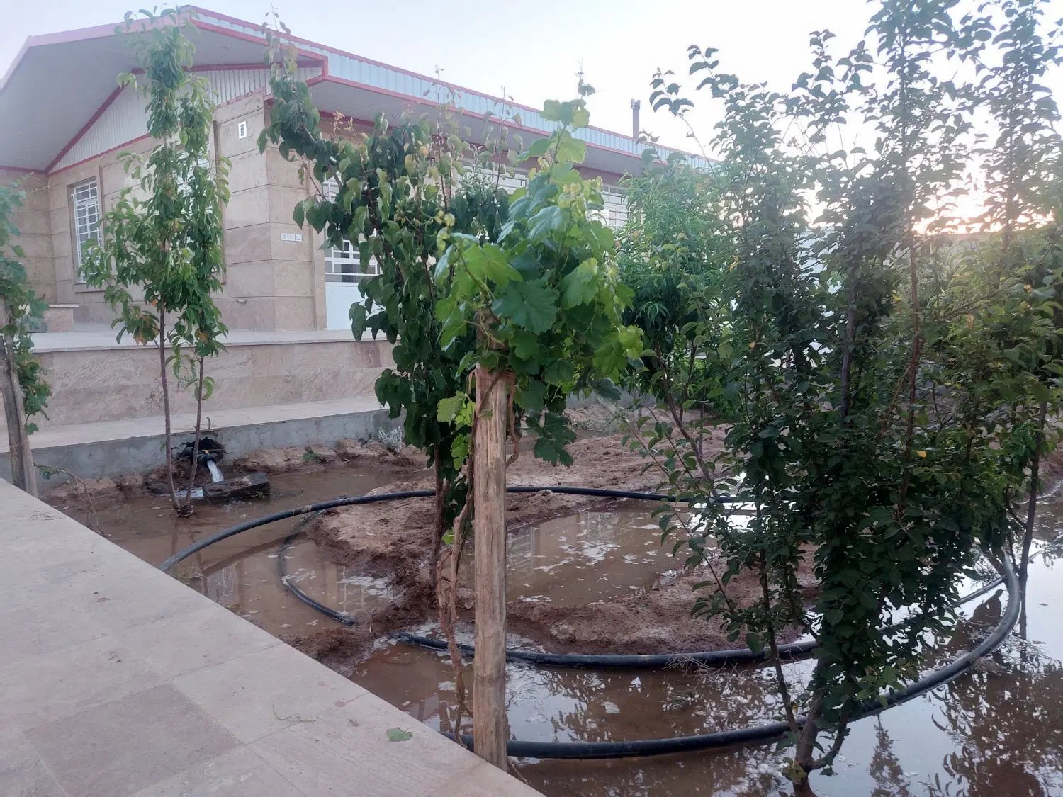 خونه باغ علی اباد