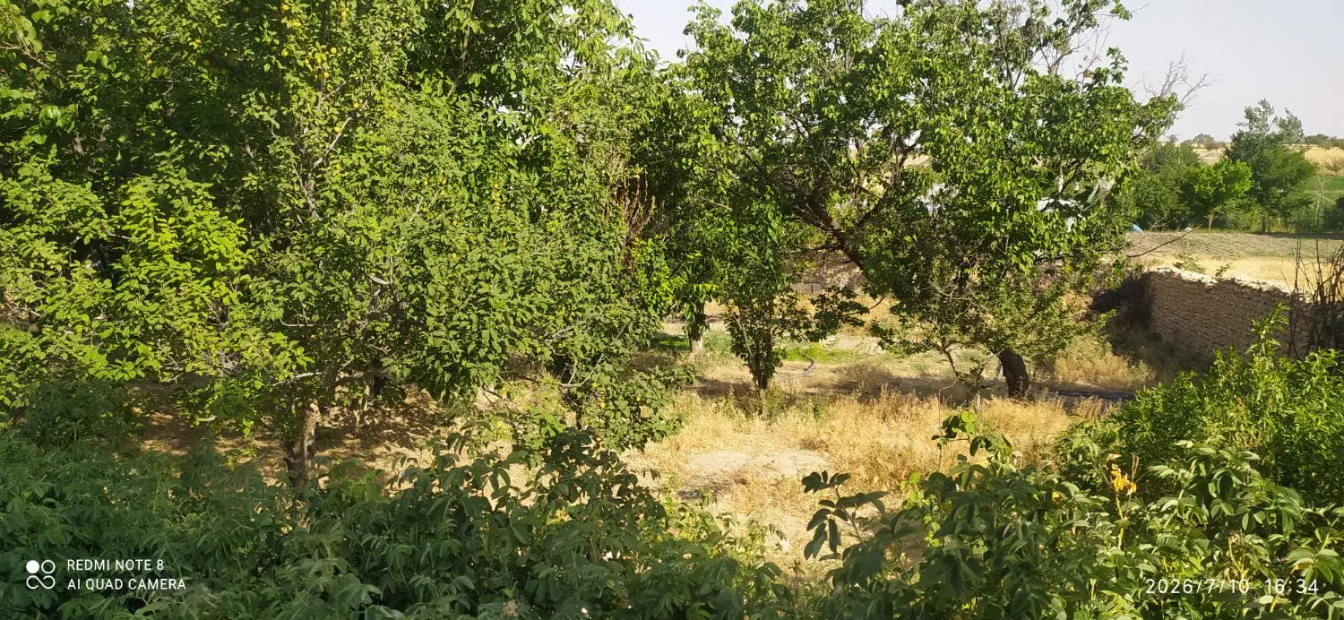 زمین مسکونی تجاری