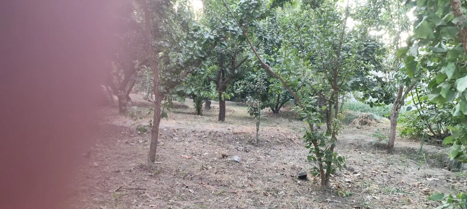 باغ ملارد