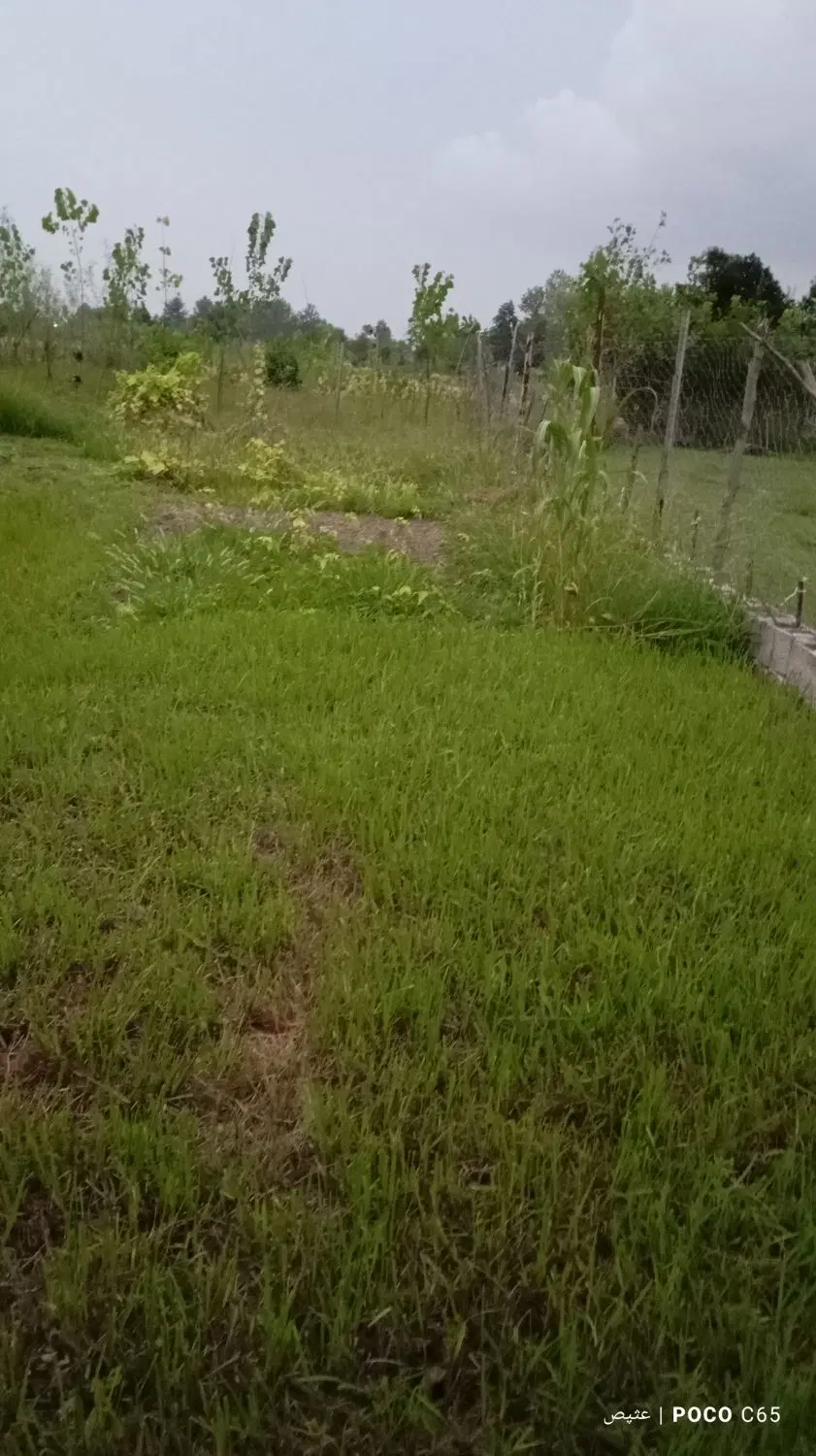 ۱۵۰ متر مسکونی