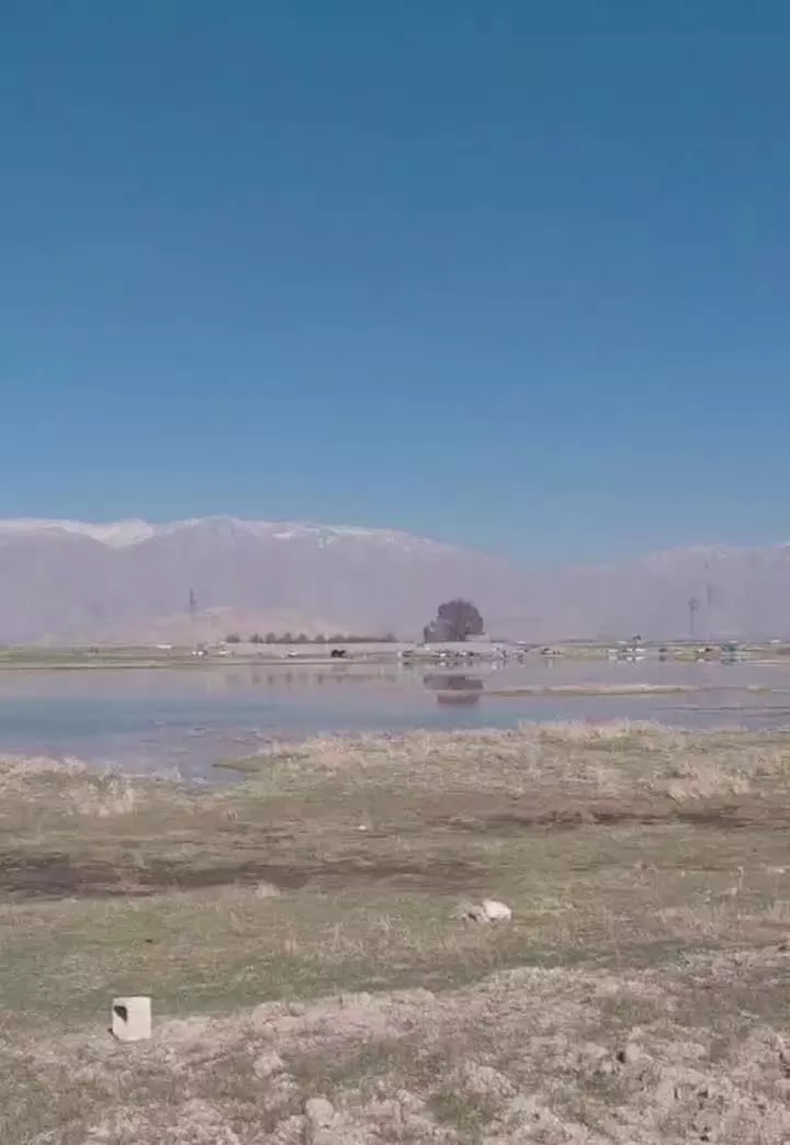 زمین کشاورزی سراب یاوری