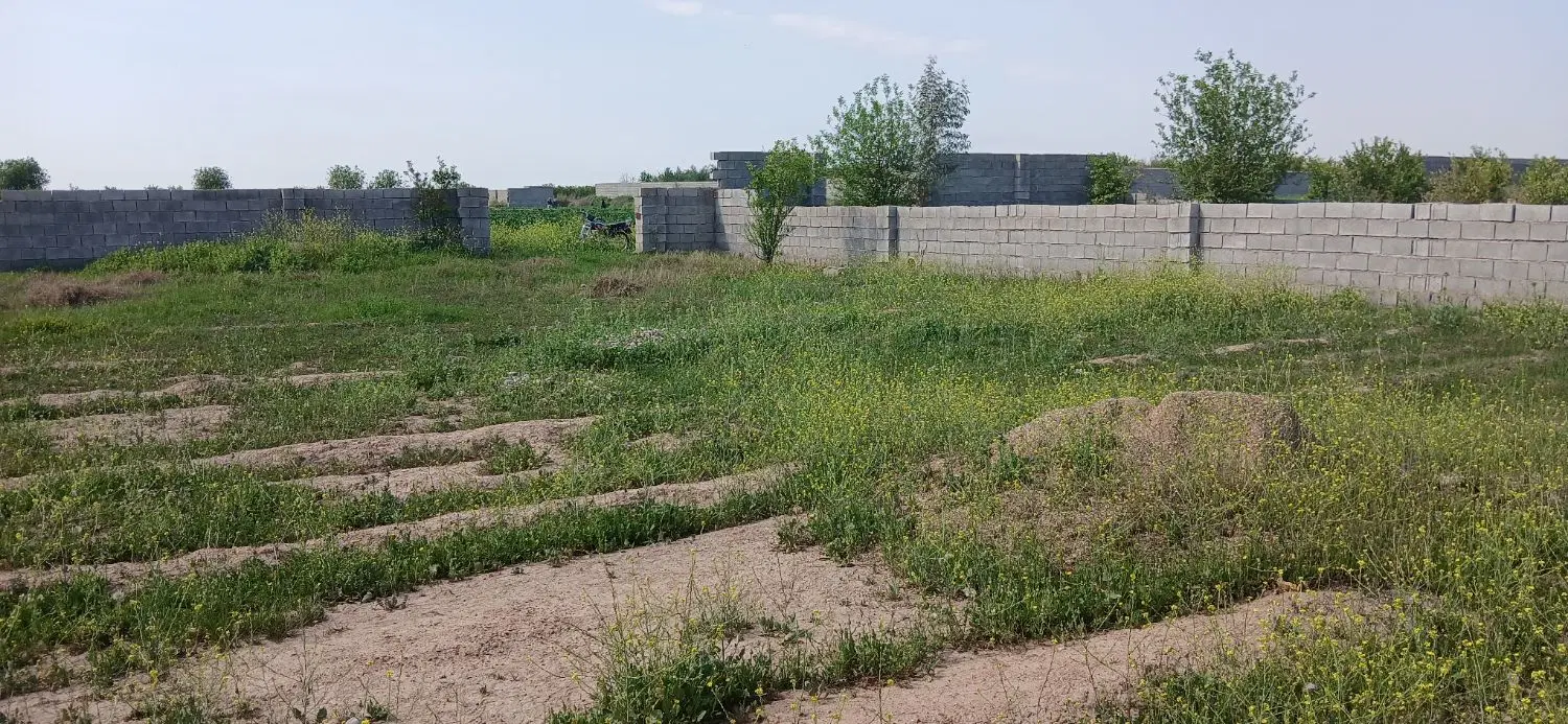 زمین باغجه ۵۵۰ متری