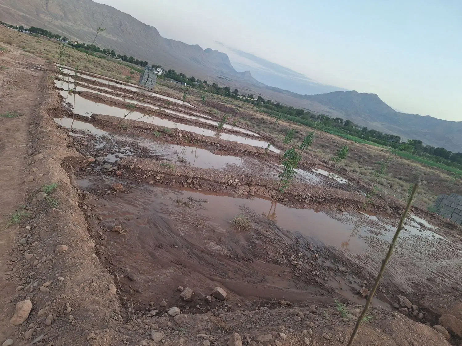 زمین کشاورزی